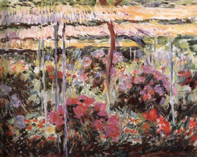 Claude Monet Peonies oil painting picture